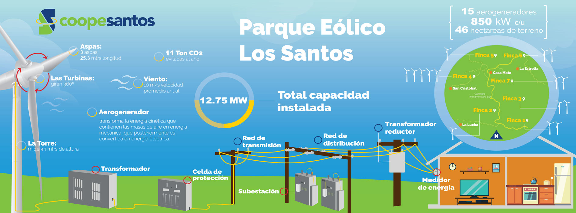 Infografia-PELS